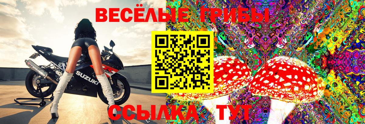Когалым  Галлюциногенные грибы мицелий  цена   Вход с VPN 